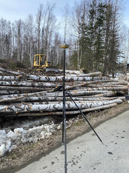 Blue Arrow Surveys