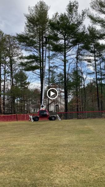 Bradley Tree & Landscape LLC