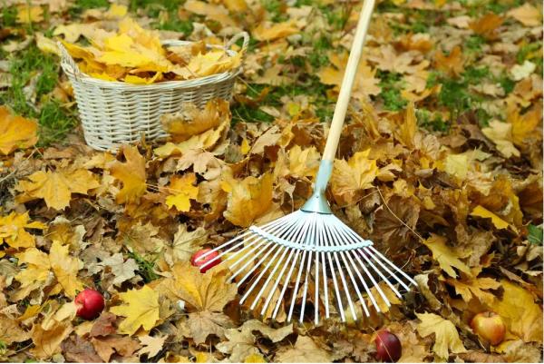 Lawn Care Lincoln