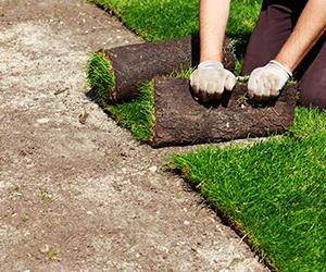 First Response Lawncare and Landscaping L.l.c.