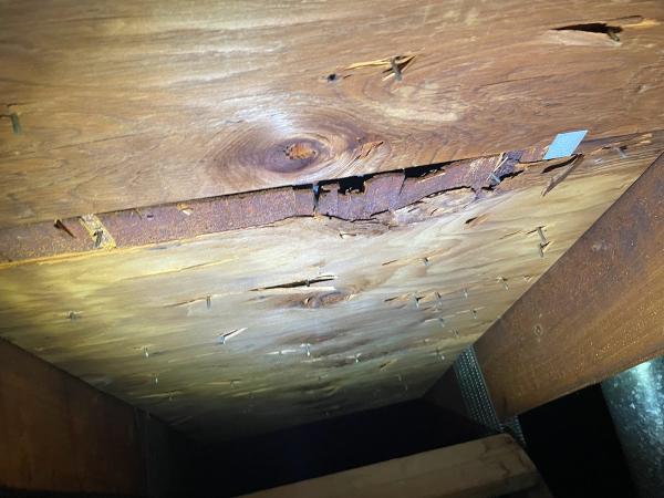 Mold Testing Long Island NY Inc.