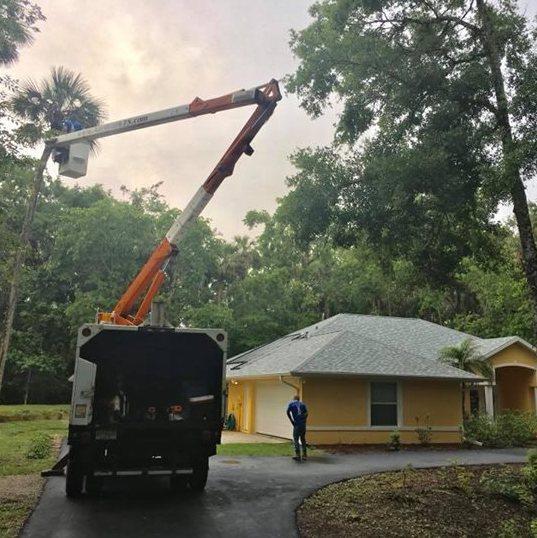 Aardvark Tree Service