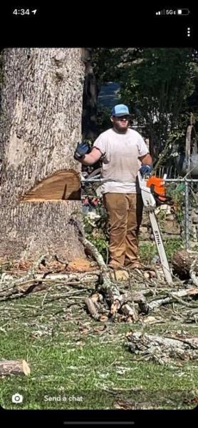 Redds Tree Service