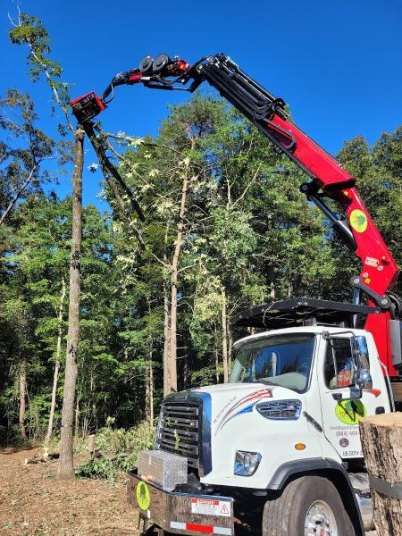 D & D Top Notch Tree Service