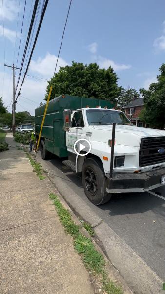 DL Tree Service