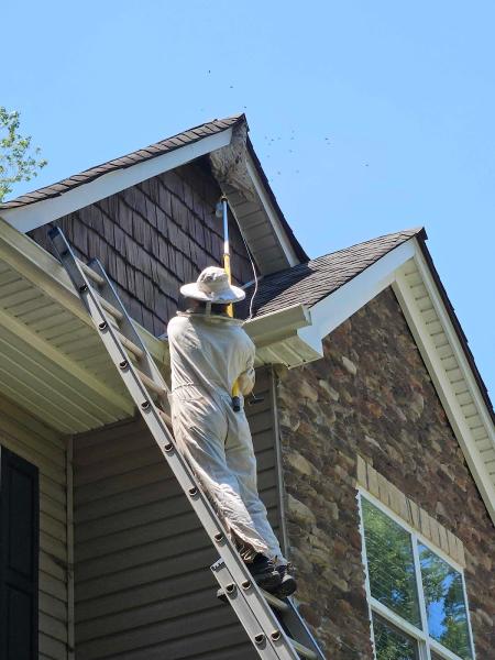 Summit Environmental Solutions
