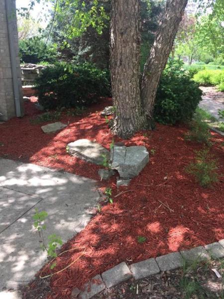 Nico's Landscaping