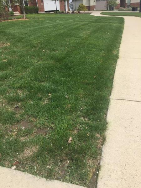 Nico's Landscaping