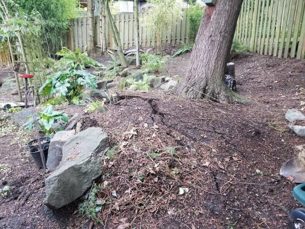 General Tree Service