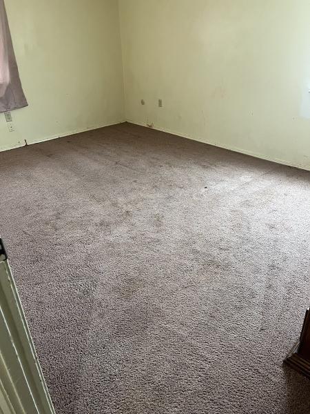 Brick City Carpet Cleaning