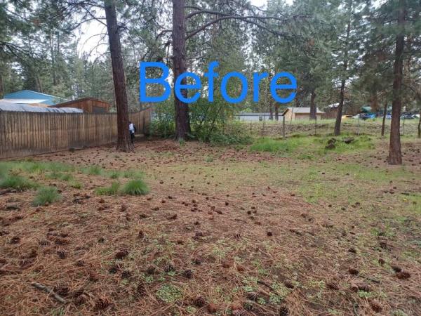 Promised Land Landscape Maintenance LLC