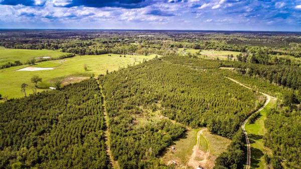 Texas Farms & Ranches