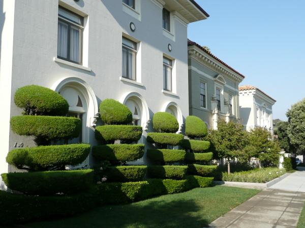 Cutting Edge Tree and Lawn