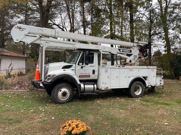 Upstate Tree Care