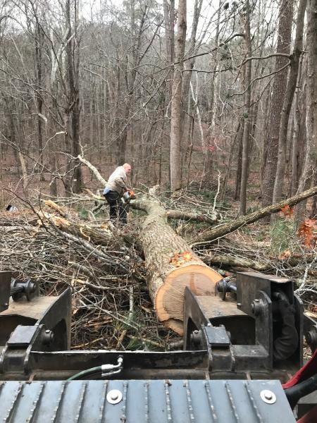Tyler's Tree Service
