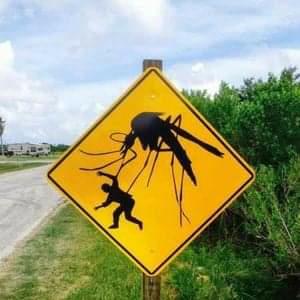 Cyclone Pest Control Services