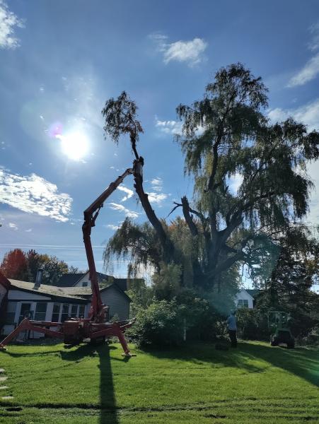 American Made Tree Service