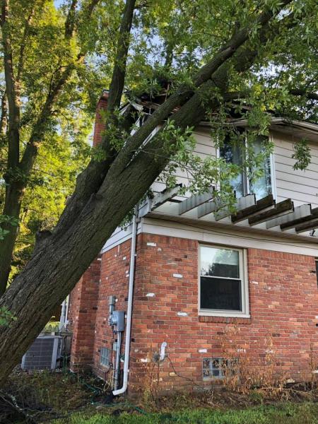 American Made Tree Service