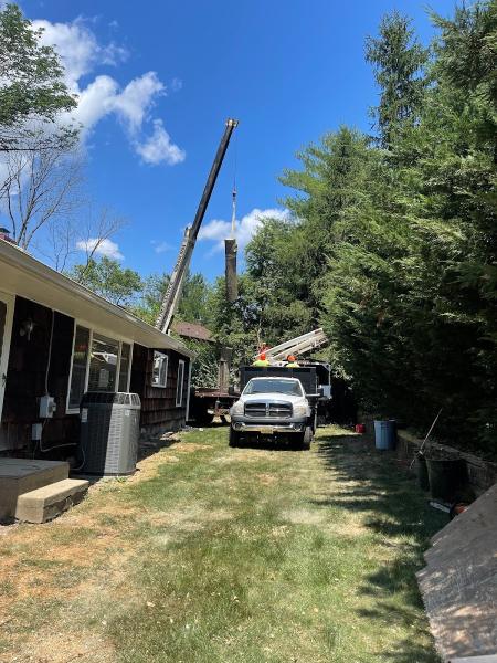 All Fair Montgomery Tree Removal