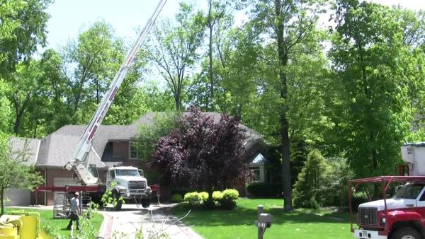 All Fair Montgomery Tree Removal