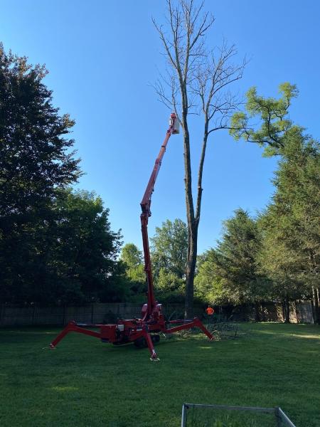 All Fair Montgomery Tree Removal