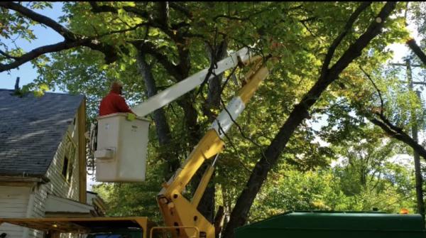 The Solution Tree Services LLC