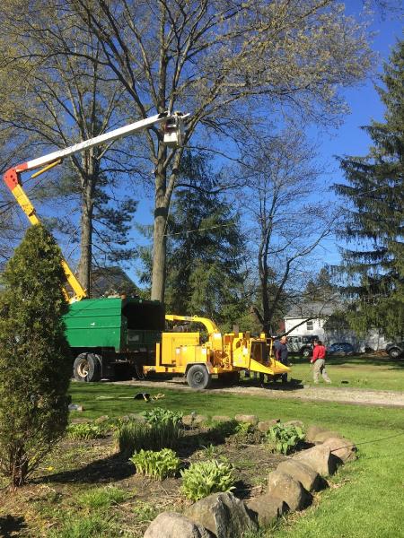 The Solution Tree Services LLC