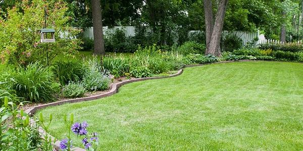 Sir Knight's Lawn Care