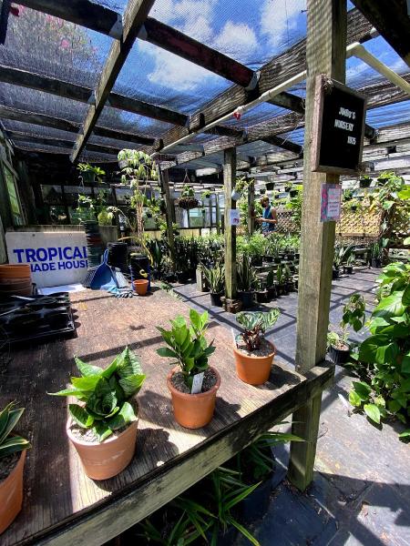 Jimbo's Nursery