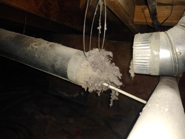 Alpine Maintenance Services LLC