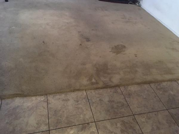 Star Carpet & Upholstery Cleaning
