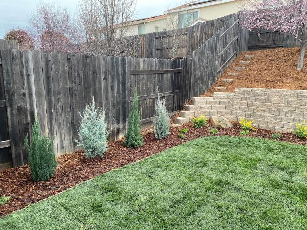 Anything Outside Landscape Design & Construction