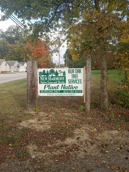 New Harmony Native Trees and Shrubs