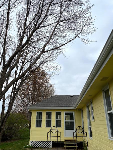 Andy's Tree & Lawn Service Inc