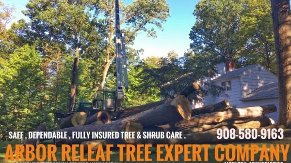 Arbor Releaf Tree Expert's LLC