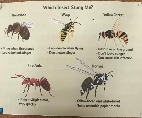 Combat Pest Control