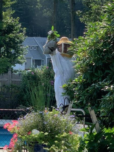 Combat Pest Control