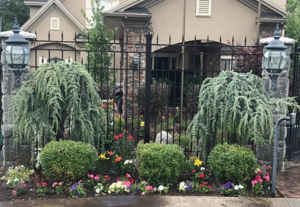 Custom Grounds Landscape Detailing
