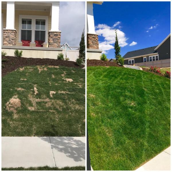 Custom Grounds Landscape Detailing