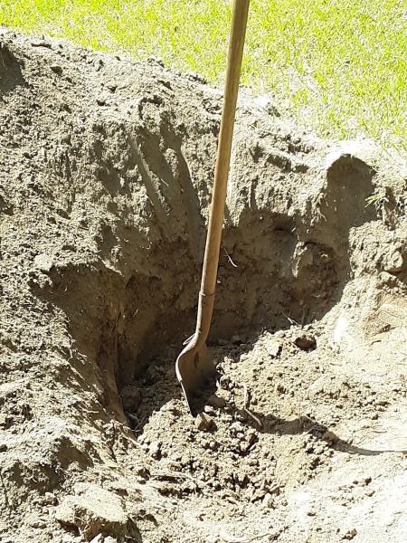 Shane's Stump Grinding