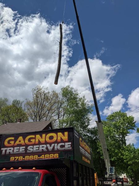Gagnon Tree Service