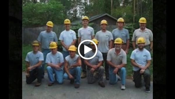 Tampa Tree Service