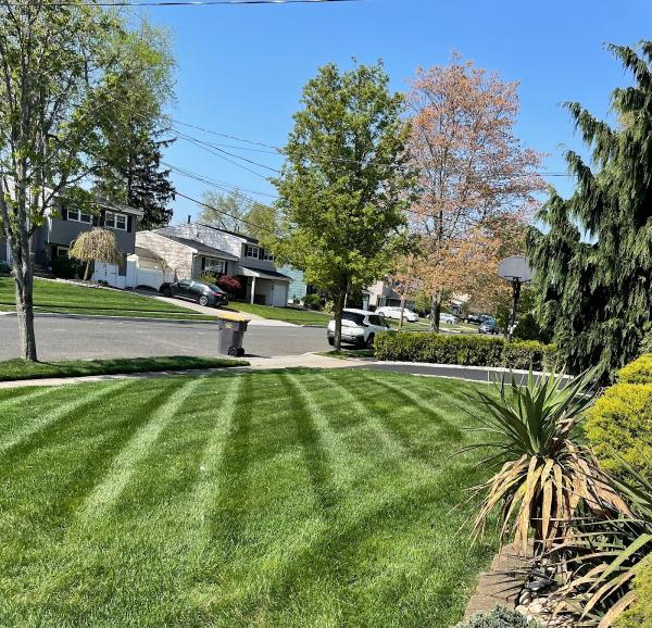 JWC Lawncare & Landscaping LLC