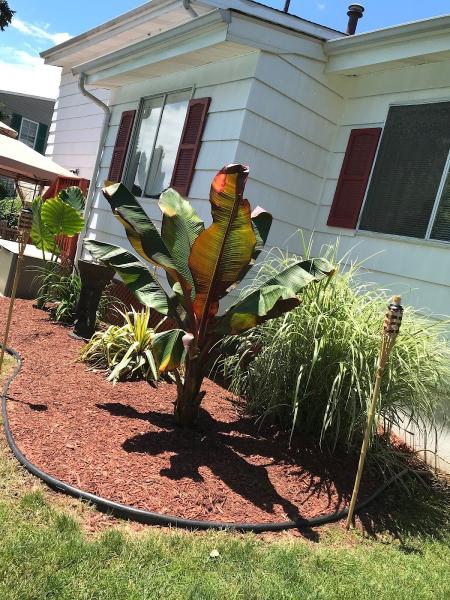 JWC Lawncare & Landscaping LLC