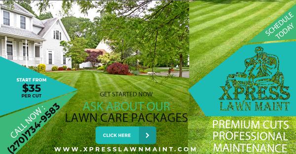 Xpress Lawn Maintenance