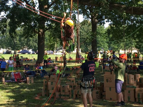 Dewitt Tree Care