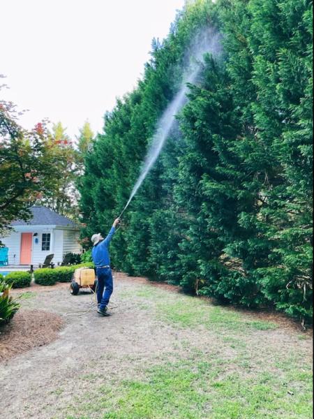 Ashley's Spraying