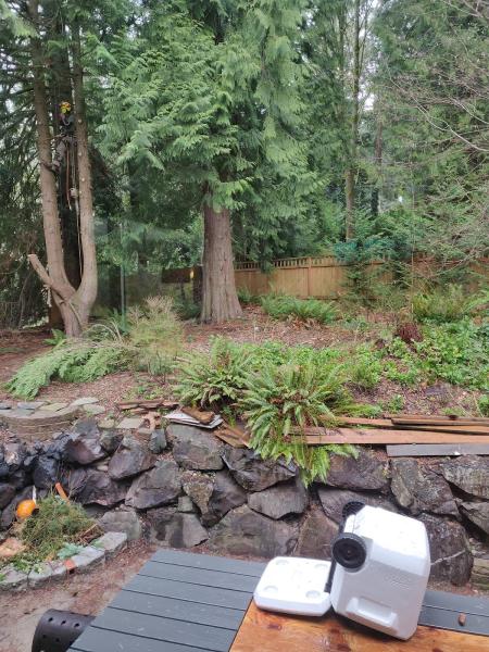 Selective Tree Removal
