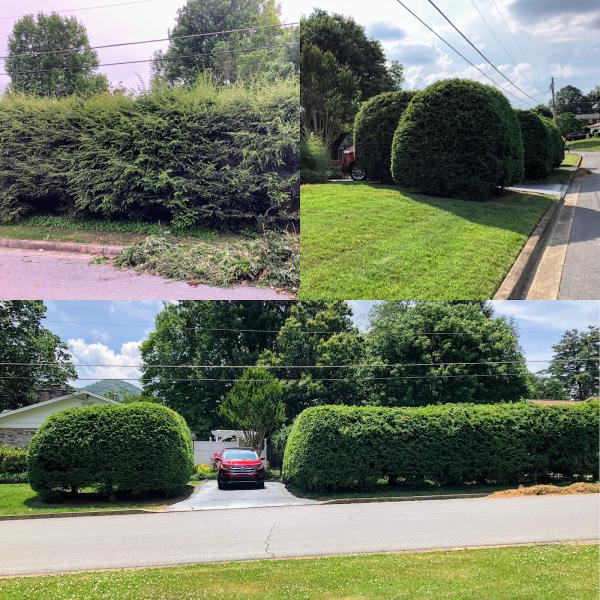 Ole Goat Lawncare and Landscaping