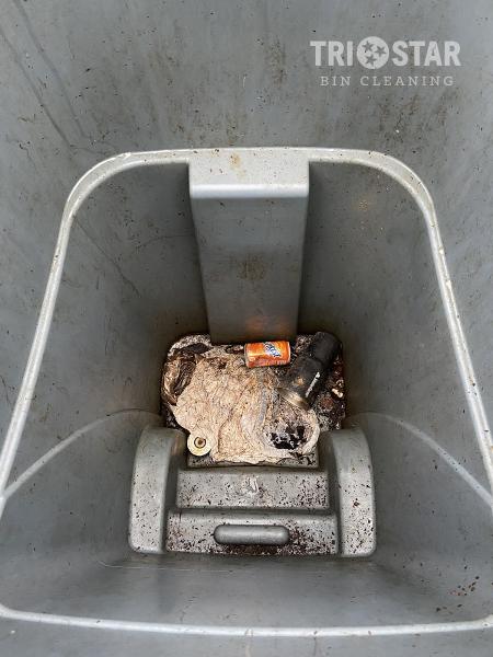 Tristar Bin Cleaning